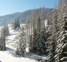 Апартаменты в Каринтии, продажа. №9864. ЭстейтСервис.