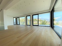 Новая вилла в пяти минутах ходьбы от центра Рокебрюн