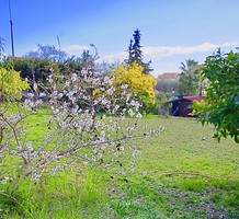 Апартаменты в районе стадиона Stade Maurice Jeanpierre, продажа. №35087. ЭстейтСервис.