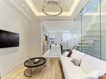 Триплекс с ремонтом на Cap-Ferrat