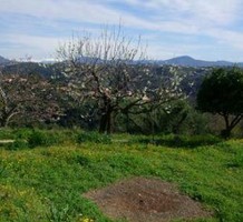 Участок земли с видом на горы и море в Сен-Поль-де-Ванс, продажа. №23712. ЭстейтСервис.