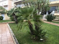 Квартира в ста метрах от моря в Болье-сюр-Мер
