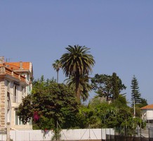 Солнечные апартаменты в Villefranche sur mer, продажа. №33493. ЭстейтСервис.