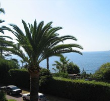 Большая квартира в районе BASSE CALIFORNIE, продажа. №33979. ЭстейтСервис.