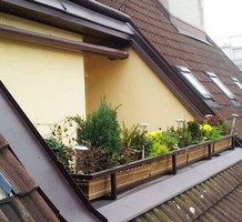 Апартаменты в историческом здании в центре Вены, продажа. №23850. ЭстейтСервис.