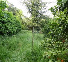 Участок с видом на окрестности и море в Грас, продажа. №23582. ЭстейтСервис.
