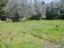 Земельный участок под застройку в Ле-Канне