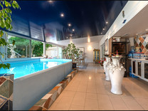 Большая квартира-вилла с крытым бассейном в Ницце 