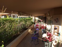 Уютная трехкомнатная квартира в Жуан-Ле-Пен