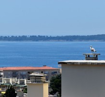 Апартаменты с красивым видом на море, Antibes, продажа. №37808. ЭстейтСервис.