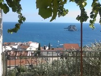 Очаровательный домик с видом на море в Petrovac